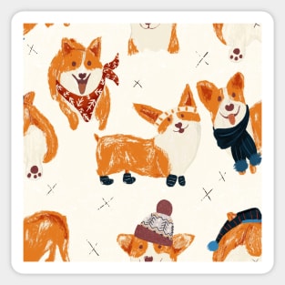 Corgi dog with winter hats and socks Sticker